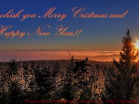 merry_x-mas_and_a_happy_new_year_english800-1.jpg